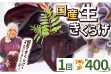 【期間限定】生きくらげ 200g×2P ともちゃん農園 | きくらげ 生きくらげ 食物繊維 鉄分 カルシウム ビタミンD カリウム アミノ酸 低カロリー ダイエット中でも安心 高血圧予防 ふるさと 納税 栃木県 那珂川町 送料無料