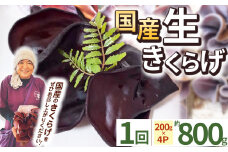 【期間限定】生きくらげ 200g×4P ともちゃん農園 | きくらげ 生きくらげ 食物繊維 鉄分 カルシウム ビタミンD カリウム アミノ酸 低カロリー ダイエット中でも安心 高血圧予防 ふるさと 納税 栃木県 那珂川町 送料無料