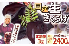 【期間限定】【定期便3回】生きくらげ 200g×4P ともちゃん農園 |定期便 きくらげ 生きくらげ 食物繊維 鉄分 カルシウム ビタミンD カリウム アミノ酸 低カロリー ダイエット中でも安心 高血圧予防 ふるさと 納税 栃木県 那珂川町 送料無料