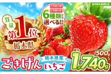 【栃木県共通返礼品】【チョイス限定企画】【先行予約】とちあいか 秀品 約700g | いちご とちあいか 大粒 新鮮 甘い 朝採れ 香貴 数量 限定 美味しい 果物 共通返礼品 フルーツ デザート 栃木県 那珂川町 送料無料