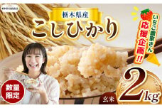 【令和7年度新米】【栃木県共通返礼品】【数量限定】令和7年度新米 栃木県産コシヒカリ 2kg | 数量限定 こしひかり  玄米 米 ごはん おいしい  玄米真空パック ふるさと納税 那珂川町 栃木県