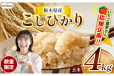 【令和7年度新米】【栃木県共通返礼品】【数量限定】令和7年度新米 栃木県産コシヒカリ 4kg | 数量限定 こしひかり  玄米 米 ごはん  玄米真空パック ふるさと納税 那珂川町 栃木県