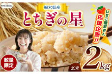 【令和7年度新米】【栃木県共通返礼品】【数量限定】令和7年度新米 栃木県産とちぎの星 2kg | とちぎの星 数量限定 玄米 米 ごはん  玄米真空パック ふるさと納税 那珂川町 栃木県
