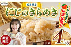【令和7年度新米】【栃木県共通返礼品】【数量限定】令和7年度新米 栃木県産にじのきらめき 4kg | にじのきらめき 数量限定  玄米 米 ごはん  玄米真空パック ふるさと納税 那珂川町 栃木県