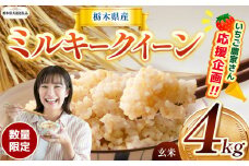【令和7年度新米】【栃木県共通返礼品】【数量限定】令和7年度新米 栃木県産ミルキークイーン 4kg | ミルキークイーン  数量限定 玄米 米 ごはん  玄米真空パック ふるさと納税 那珂川町 栃木県