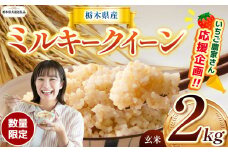 【令和7年度新米】【栃木県共通返礼品】【数量限定】令和7年度新米 栃木県産ミルキークイーン 2kg | ミルキークイーン 数量限定  玄米 米 ごはん  玄米真空パック ふるさと納税 那珂川町 栃木県