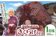 きくらげ狩り1名様 ともちゃん農園 |きくらげ きくらげ狩り 体験  食物繊維 鉄分 カルシウム ビタミンD カリウム アミノ酸  高血圧予防 ふるさと 納税 栃木県 那珂川町 送料無料