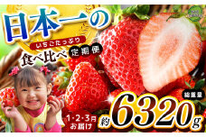 【栃木県共通返礼品】【定期便3回】日本一のいちごたっぷり食べ比べ定期便 | いちご とちあいか  朝採れ たっぷり ぎっしり サイズ ジューシー  大粒 新鮮 甘い  数量 限定 美味しい 果物 共通返礼品 フルーツ デザート 栃木県 那珂川町 送料無料