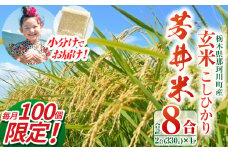 【数量限定】那珂川町産芳井米 玄米 330g (2合分) ×4 |  玄米 米 ごはん  ふっくら もちもち  ふるさと納税 那珂川町 栃木県