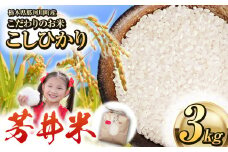 那珂川町産芳井米 3kg | お米 精米 美味しい 白米 とちぎ 玄米 共通返礼品 送料無料 那珂川町 栃木県
