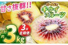 【2025年先行予約】【定期便3回】甘さ抜群のゴールド系 キウイフルーツ 1kg | 果物 くだもの フルーツ 野菜 やさい ヤサイ キウイ きうい ゴールドキウイ ごーるどきうい 新鮮 フレッシュ 甘い 美味しい フルーツ デザート 栃木県 那珂川町 送料無料