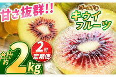 【2025年先行予約】【定期便2回】甘さ抜群のゴールド系 キウイフルーツ 約1kg | 果物 くだもの フルーツ 野菜 やさい ヤサイ キウイ きうい ゴールドキウイ ごーるどきうい 新鮮 フレッシュ 甘い 美味しい フルーツ デザート 栃木県 那珂川町 送料無料