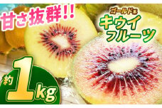 【2025年先行予約】甘さ抜群のゴールド系 キウイフルーツ 約1kg | 果物 くだもの フルーツ 野菜 やさい ヤサイ キウイ きうい ゴールドキウイ ごーるどきうい 新鮮 フレッシュ 甘い 美味しい フルーツ デザート 栃木県 那珂川町 送料無料