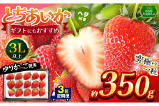 【栃木県共通返礼品】【定期便3回】【先行予約】とちあいか 3L以上ホール詰め 350g | いちご とちあいか 香貴 朝採れ 大粒 新鮮 甘い  数量 限定 美味しい 果物 共通返礼品 フルーツ デザート 栃木県 那珂川町 送料無料