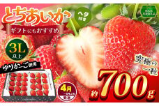【栃木県共通返礼品】【4~5月発送分】【先行予約】訳あり とちあいか 3L以上ホール詰め 700g | いちご とちあいか 香貴 朝採れ 大粒 新鮮 甘い  数量 限定 美味しい 果物 共通返礼品 フルーツ デザート 栃木県 那珂川町 送料無料