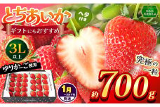 【栃木県共通返礼品】【1~3月発送分】【先行予約】とちあいか 3L以上ホール詰め 700g | いちご とちあいか 香貴 朝採れ 大粒 新鮮 甘い  数量 限定 美味しい 果物 共通返礼品 フルーツ デザート 栃木県 那珂川町 送料無料