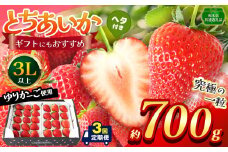 【栃木県共通返礼品】【定期便3回】【先行予約】とちあいか 3L以上ホール詰め 700g | いちご とちあいか 香貴 朝採れ 大粒 新鮮 甘い  数量 限定 美味しい 果物 共通返礼品 フルーツ デザート 栃木県 那珂川町 送料無料