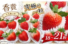 【栃木県共通返礼品】【1~3月発送分】【先行予約】とちあいか 「香貴」 18～21粒 | いちご とちあいか 香貴 朝採れ 大粒 新鮮 甘い  数量 限定 美味しい 果物 共通返礼品 フルーツ デザート 栃木県 那珂川町 送料無料