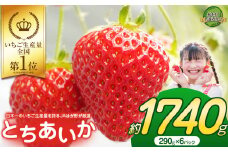 【2026年先行予約】大人気！日本一のいちご生産量を誇るJAはが野が厳選 最旬 とちあいか 290g×6P | いちご とちおとめ 甘い 美味しい 果物 共通返礼品 フルーツ デザート 栃木県 那珂川町 送料無料