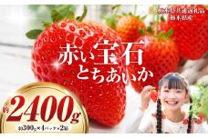 【栃木県共通返礼品】【先行予約】赤い宝石「とちあいか」300g×4P×2箱| 先行予約 選べる いちご 苺 とちあいか 栃木県 那珂川町 送料無料 デザート ご褒美 美味しい 甘い フルーツ ジューシー 