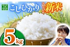 【栃木県共通返礼品】【令和7年度新米】栃木県産コシヒカリ 5kg | ふるさと 納税 コシヒカリ お米 精米 白米 玄米 大粒 共通返礼品 送料無料 那珂川町 栃木県