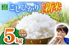 【栃木県共通返礼品】【令和7年度新米】栃木県産コシヒカリ 15kg |定期便 選べる 10月発送 11月発送 12月発送 ふるさと 納税 コシヒカリ お米 精米 白米 玄米 大粒 共通返礼品 送料無料 那珂川町 栃木県