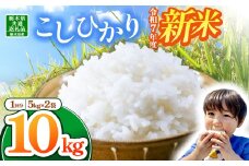 【栃木県共通返礼品】【令和7年度新米】栃木県産コシヒカリ 10kg | ふるさと 納税 コシヒカリ お米 精米 白米 玄米 大粒 共通返礼品 送料無料 那珂川町 栃木県