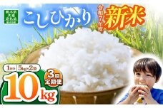 【栃木県共通返礼品】【令和7年度新米】栃木県産コシヒカリ 30kg |定期便 選べる 10月発送 11月発送 12月発送 ふるさと 納税 コシヒカリ お米 精米 白米 玄米 大粒 共通返礼品 送料無料 那珂川町 栃木県