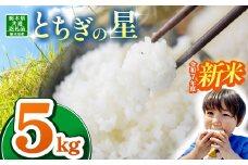 【栃木県共通返礼品】【令和7年度新米】栃木県産とちぎの星 5kg | ふるさと 納税 とちぎの星 お米 精米 白米 玄米 大粒 共通返礼品 送料無料 那珂川町 栃木県