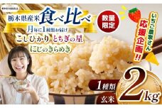 【令和7年度新米】【栃木県共通返礼品】【数量限定】栃木県産コシヒカリ とちぎの星 にじのきらめき 2kg 食べ比べ定期便 |定期便 数量限定 こしひかり とちぎの星 ミルキークイーン にじのきらめき 玄米 米 ごはん おいしい  玄米真空パック ふるさと納税 那珂川町 栃木県
