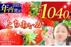 【栃木県共通返礼品】【2025年先行予約】とちあいか 260g×4P| 年内発送 果物 くだもの フルーツ 野菜 やさい ヤサイ 苺 イチゴ いちご とちあいか 新鮮 甘い 数量 限定 美味しい 果物 共通返礼品 フルーツ デザート 栃木県 那珂川町 送料無料