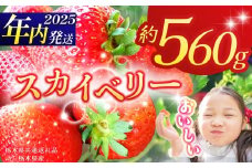 【栃木県共通返礼品】【2025年先行予約】スカイベリー 280g×2P| 年内発送 果物 くだもの フルーツ 野菜 やさい ヤサイ 苺 イチゴ いちご スカイベリー 新鮮 甘い 数量 限定 美味しい 果物 共通返礼品 フルーツ デザート 栃木県 那珂川町 送料無料