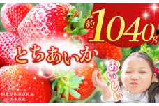 【栃木県共通返礼品】【2026年先行予約】とちあいか 260g×4P| 年始発送 果物 くだもの フルーツ 野菜 やさい ヤサイ 苺 イチゴ いちご とちあいか 新鮮 甘い 数量 限定 美味しい 果物 共通返礼品 フルーツ デザート 栃木県 那珂川町 送料無料