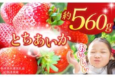 【栃木県共通返礼品】【2026年先行予約】とちあいか 280g×2P| 年始発送 果物 くだもの フルーツ 野菜 やさい ヤサイ 苺 イチゴ いちご とちあいか 新鮮 甘い 数量 限定 美味しい 果物 共通返礼品 フルーツ デザート 栃木県 那珂川町 送料無料