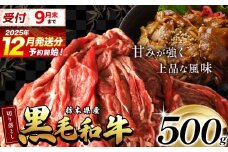 【12月発送】栃木県産黒毛和牛切り落とし 500g  | 霜降り 肉 和牛 黒毛和牛 栃の木黒牛 切り落とし とろける 品質 柔らかく 銘柄牛 美味しい 特産品 ふるさと 納税 栃木県 那珂川町 送料無料