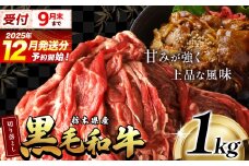 【12月発送】最高位賞 を 受賞 ！ 栃木県産 黒毛和牛 切り落とし 1.0kg |  和牛 わぎゅう ぎゅう 牛肉 ぎゅうにく 切り落とし 切落し すき焼き すき焼 すきやき しゃぶしゃぶ シャブシャブ 牛丼 牛鍋 カレー ビーフ シチュー 美味しい 高級 ご褒美 肉 お肉 おにく にく ふるさと 納税 送料無料 那珂川町 栃木県