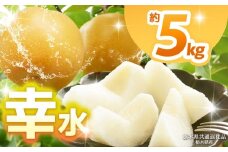 【栃木県共通返礼品】【2025年先行予約】幸水 約5kg  | 梨 なし ナシ 新品種 先行予約 大粒 新鮮 甘い 美味しい 果物 くだもの フルーツ ふるーつ 共通返礼品 フルーツ デザート 栃木県 那珂川町