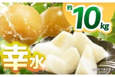 【栃木県共通返礼品】【2025年先行予約】幸水 約10kg  | 梨 なし ナシ 新品種 先行予約 大粒 新鮮 甘い 美味しい 果物 くだもの フルーツ ふるーつ 共通返礼品 フルーツ デザート 栃木県 那珂川町