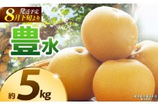 【栃木県共通返礼品】【2025年8月先行予約】豊水 約5kg |豊水 梨 なし ナシ 新品種 先行予約 大粒 新鮮 甘い 美味しい 果物 くだもの フルーツ ふるーつ 共通返礼品 フルーツ デザート 栃木県 那珂川町
