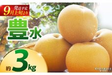 【栃木県共通返礼品】【2025年9月先行予約】豊水(高糖度) 約3kg |豊水 梨 なし ナシ 新品種 先行予約 大粒 新鮮 甘い 美味しい 果物 くだもの フルーツ ふるーつ 共通返礼品 フルーツ デザート 栃木県 那珂川町