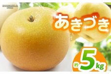 【栃木県共通返礼品】【2025年先行予約】あきづき 約5kg |あきづき 梨 なし ナシ 新品種 先行予約 大粒 新鮮 甘い 美味しい 果物 くだもの フルーツ ふるーつ 共通返礼品 フルーツ デザート 栃木県 那珂川町