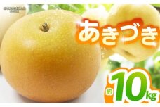 【栃木県共通返礼品】【2025年先行予約】あきづき 約10kg |あきづき 梨 なし ナシ 新品種 先行予約 大粒 新鮮 甘い 美味しい 果物 くだもの フルーツ ふるーつ 共通返礼品 フルーツ デザート 栃木県 那珂川町