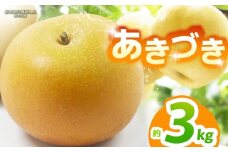 【栃木県共通返礼品】【2026年先行予約】あきづき 約3kg |あきづき 梨 なし ナシ 新品種 先行予約 大粒 新鮮 甘い 美味しい 果物 くだもの フルーツ ふるーつ 共通返礼品 フルーツ デザート 栃木県 那珂川町