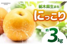 【栃木県共通返礼品】【2025年先行予約】にっこり 約3kg |にっこり 梨 なし ナシ 新品種 先行予約 大粒 新鮮 甘い 美味しい 果物 くだもの フルーツ ふるーつ 共通返礼品 フルーツ デザート 栃木県 那珂川町