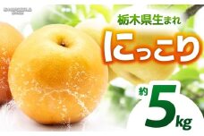 【栃木県共通返礼品】【2025年先行予約】にっこり 約5kg |にっこり 梨 なし ナシ 新品種 先行予約 大粒 新鮮 甘い 美味しい 果物 くだもの フルーツ ふるーつ 共通返礼品 フルーツ デザート 栃木県 那珂川町