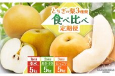 【栃木県共通返礼品】【2025年先行予約】とちぎの梨食べ比べ定期便 | にっこり 幸水 あきづき 梨 なし ナシ 新品種 先行予約 大粒 新鮮 甘い 美味しい 果物 くだもの フルーツ ふるーつ 共通返礼品 フルーツ デザート 栃木県 那珂川町 定期便 