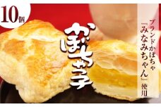 かぼちゃっ子 10個 | かぼちゃ かぼちゃあん パイ お菓子 お茶菓子 菓子 お茶請け おちゃうけ おやつ ご褒美 贈答用 おいしい あまい スイーツ 和菓子 お茶 栃木県 那珂川町 送料無料