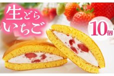 生どらいちご 10個 | いちご とちあいか 生どら どらやき お菓子 お茶菓子 菓子 お茶請け おちゃうけ おやつ ご褒美 贈答用 おいしい あまい スイーツ 和菓子 お茶 栃木県 那珂川町 送料無料