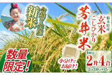 【数量限定】【令和7年度新米先行予約】新米那珂川町産芳井米 玄米 330g（2合分）×12 | こしひかり 新米 米 ごはん  ふっくら もちもち  ふるさと納税 那珂川町 栃木県