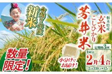 【定期便3回】【数量限定】【令和7年度新米先行予約】新米那珂川町産芳井米 玄米 330g（2合分）×12 | こしひかり 新米 米 ごはん  ふっくら もちもち  ふるさと納税 那珂川町 栃木県